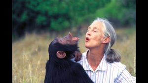 jane goodall the hope