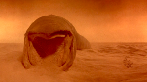 Dune